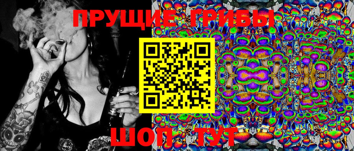Александров  Галлюциногенные грибы мицелий  купить закладку  Вход с VPN 