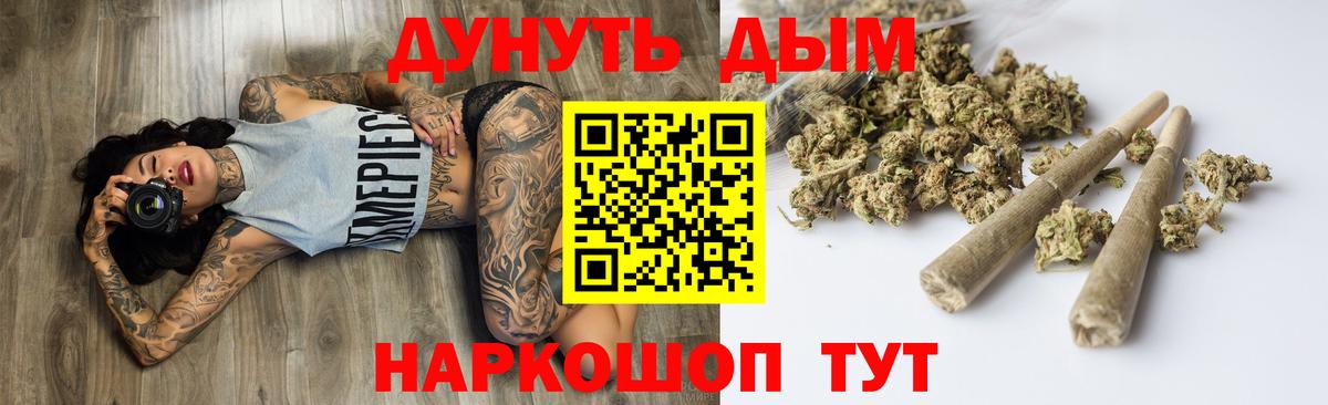 Конопля сатива Александров